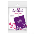 Freshomz Magical Haze Air Freshener 10 g (Pouch)